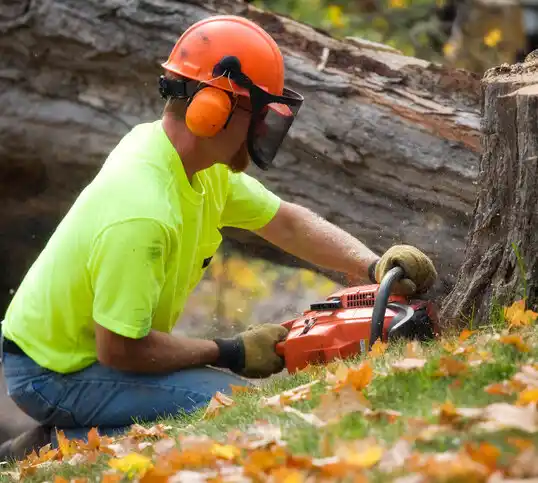 tree services Schuyler